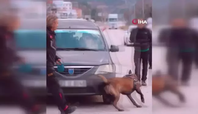 Isparta'nın Narkotik Kahramanı Milon Üçüncü Defa 'Ayın Köpeği' Seçildi