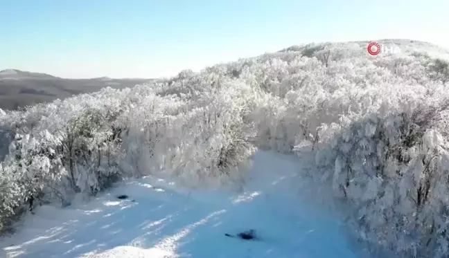 Kırklareli'de Büyüleyici Kar Manzaraları Dronla Görüntülendi