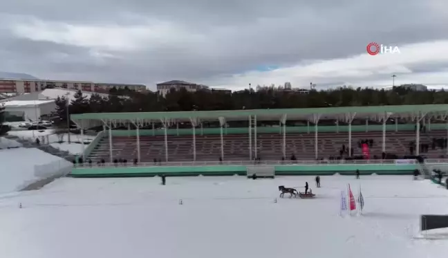 Erzurum'da Geleneksel Atlı Kızak Şöleni Coşkuyla Gerçekleştirildi