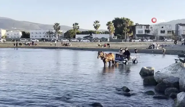 At Arabasıyla Denize Girip Güneşlendiler