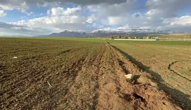 Şırnak'ta 3 günlük bebeğin cesedi bulundu