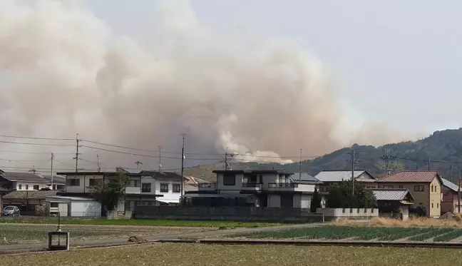 Japonya'da Orman Yangınları 514 Hektar Alanı Kül Etti
