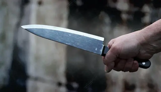 ABD'de bir lisenin önündeki bıçaklı saldırıda 1 öğrenci öldü, 2 öğrenci yaralandı