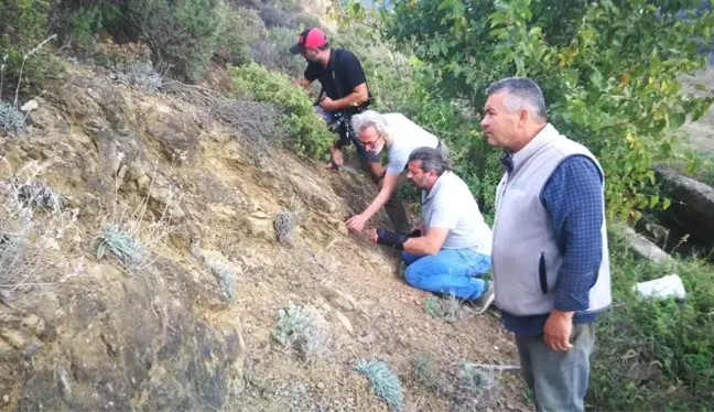 İznik'te milyonlarca yıl öncesine ait mikroorganizma fosili kalıntısı bulundu