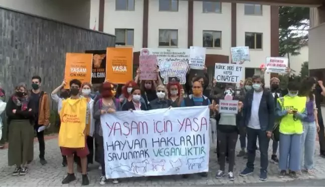 HAYVANSEVERLER, HAYVAN YASASI İÇİN PROTESTO EYLEMİ YAPTI