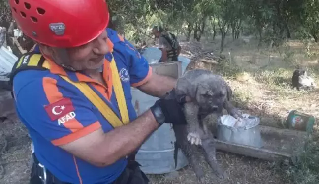 KUYUYA DÜŞEN YAVRU KÖPEĞİ AFAD EKİPLERİ KURTARDI