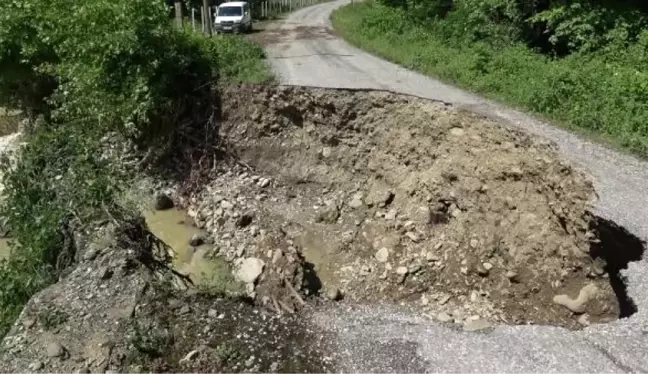 SAMSUN'DA ARACIN SELE KAPILDIĞI ANLAR KAMERADA