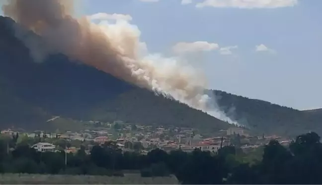 Merkezefendi ilçesinde çıkan orman yangınına müdahale ediliyor (3)