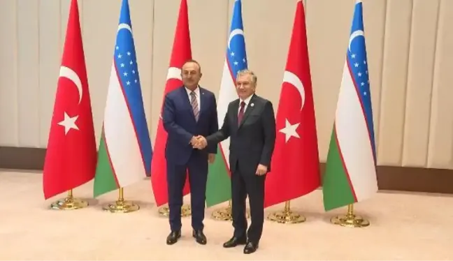 Bakan Çavuşoğlu, Özbekistan Cumhurbaşkanı Mirziyoyev ile görüştü