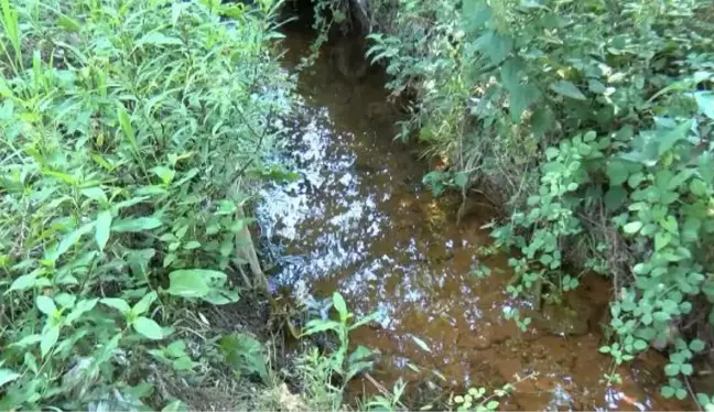 SULTANGAZİ'DE TEHLİKE SAÇAN DERE