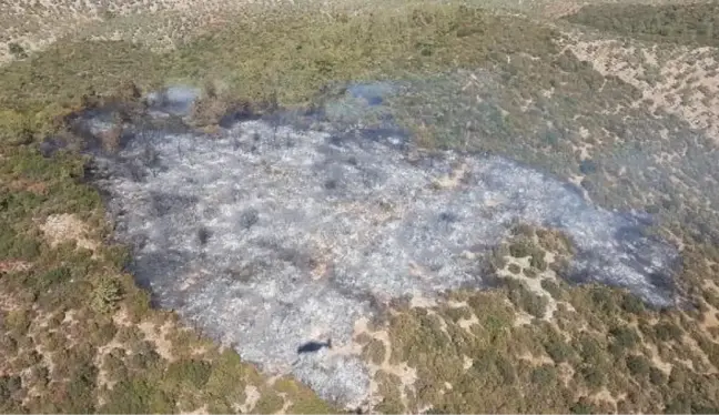 Son dakika haberleri... Bodrum'da orman yangını (2)