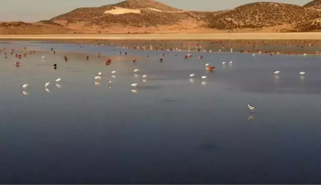 Son dakika haber... YARIŞLI GÖLÜ'NDE SONBAHARLA KUŞ POPÜLASYONU DA ARTTI