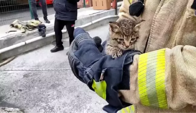 BAŞAKŞEHİR'DE 25 METRELİK KANALİZASYON KUYUSUNDAN KEDİ KURTARMA OPERASYONU