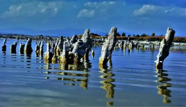 VAN GÖLÜ'NDEKİ MİKROBİYALİTLER YOK OLMA SÜRECİNİ YAŞIYOR