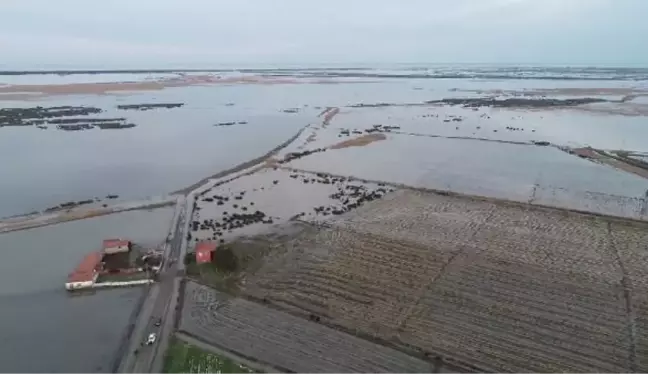 KIZILIRMAK DELTASI'NDAKİ MAHALLEDE 'TAŞKIN' KORKUSU