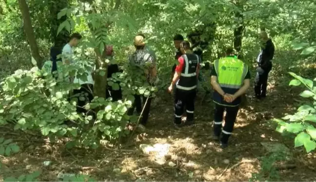 BELGRAD ORMANI'NDAN TOPLANAN ATIKLAR FİDANA DÖNÜŞECEK