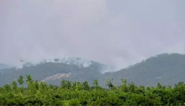 YUNANİSTAN'DAKİ ORMAN YANGINI, TÜRKİYE'DEN ENDİŞE İLE İZLENİYOR