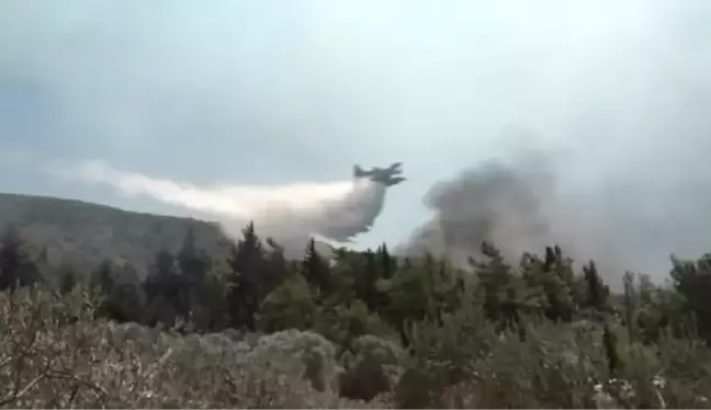 Yunanistan'ın Rodos adasında orman yangınlarına mücadele devam ediyor