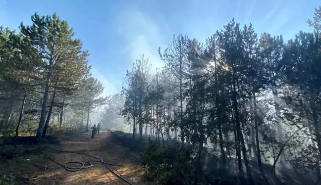 Kastamonu'da Orman Yangını Kontrol Altına Alınmaya Çalışılıyor