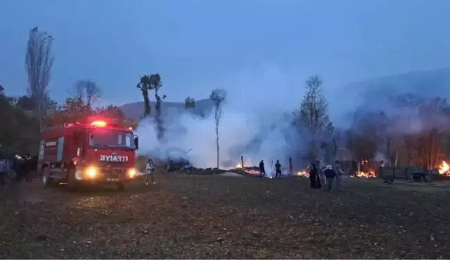 Tokat'ta Ahır Yangınında 50 Koyun Öldü