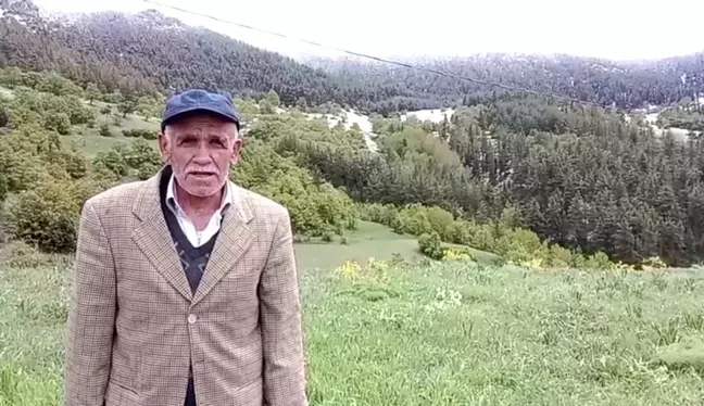 Erzurum'un yüksek kesimlerinde kar yağışı hayatı olumsuz etkiliyor