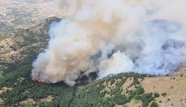 Denizli'nin Babadağ ilçesinde orman yangını çıktı