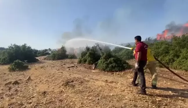 Kahramanmaraş'ta Orman Yangını Kontrol Altına Alındı