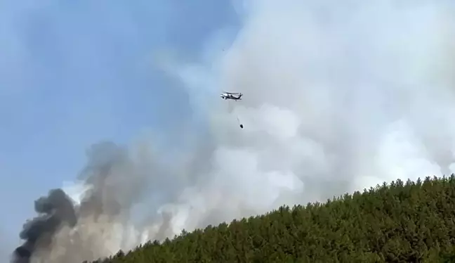 Muğla'da Orman Yangınlarına 20 Hava Aracıyla Müdahale Ediliyor