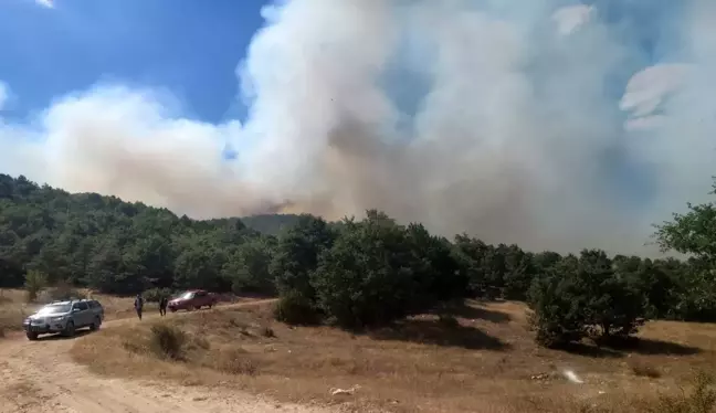 Afyonkarahisar'da Orman Yangını