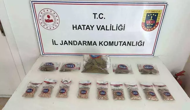 Hatay'da Kaçakçılık Operasyonunda 450 Kuru Sıkı Tabanca ve Uyuşturucu Ele Geçirildi