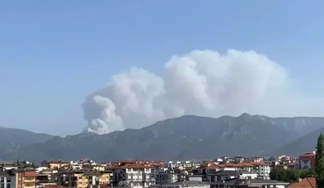 Son dakika haberleri | Tavas'da orman yangını