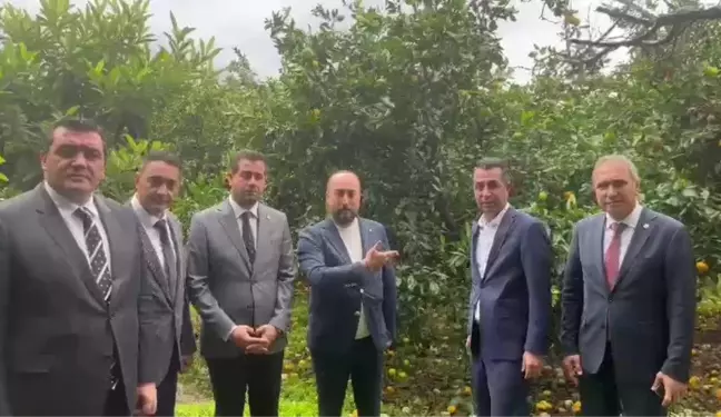 CHP Genel Başkan Yardımcıları Hatay'da Narenciye Üreticileriyle Buluştu