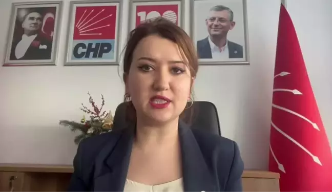 CHP Tandoğan'da Anayasal Düzene Sahip Çıkma Mitingi Düzenliyor