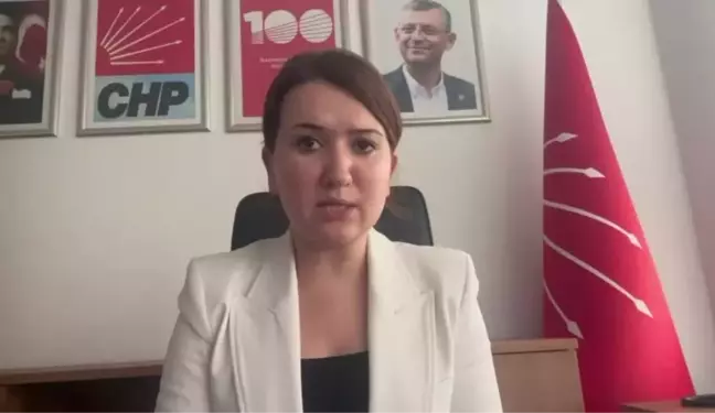 CHP Genel Başkan Yardımcısı Gökçe Gökçen, Tahir Elçi Davası'nda beraat istenmesine tepki gösterdi