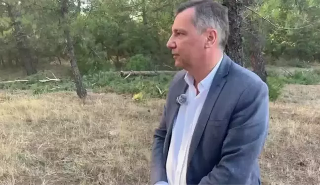 CHP'li Ceylan'dan Cengiz Holding'e Ağaç Kesimi Tepkisi