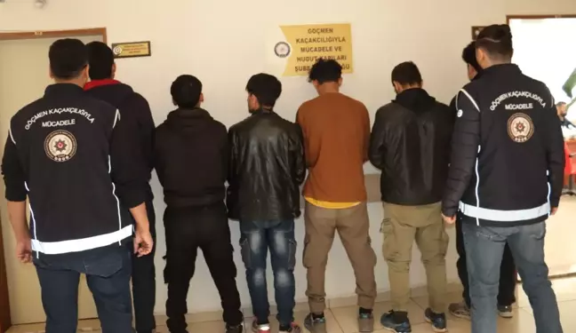 Amasya'da Kaçak Göçmen Taşıyan Sürücü Gözaltına Alındı