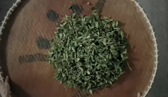 Çin'in Batı Gölü Longjing Çayını Hazırlamanın Sırları