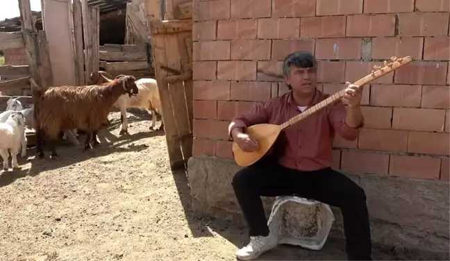 Görme engelli çiftçinin koyunlarıyla bağlama çalması