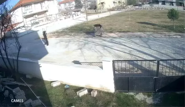 Denizli'de Çöp Konteynerinde Ayakları Bağlı Köpek Bulundu