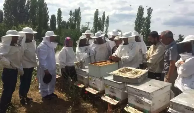 Bayramiç'te 'Uygulamalı Ana Arı Yetiştiriciliği' Kursu Düzenlendi