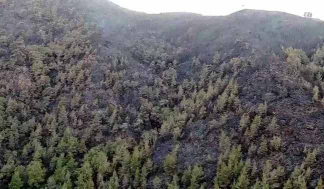 Marmaris'te yürekleri dağlayan kara tablo havadan görüntülendi