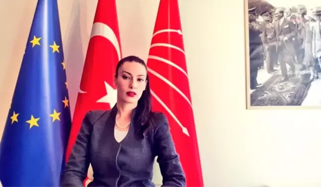 CHP Avrupa Birliği Temsilcisi Kader Sevinç'ten 9 Mayıs açıklaması