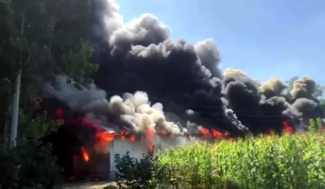 Sakarya'da Ahşap Atölyesi Alevlere Teslim Oldu