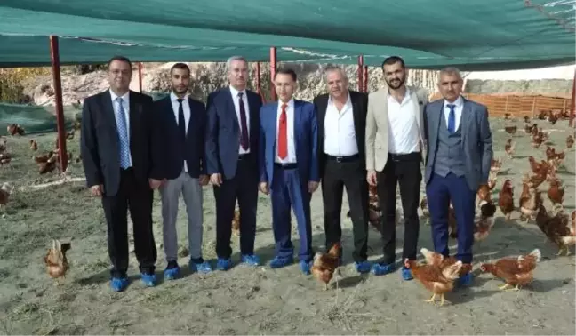 Buldan'da Organik Yumurta Üretecekler