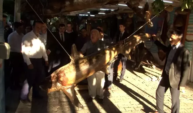 Esenyurt Mehmet Altun Öğrenci yurdu öğretmenleri Balıkçı Kenan'ı ziyaret etti