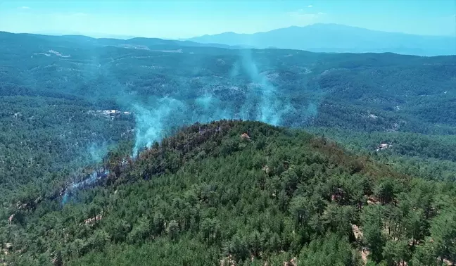 Bursa'nın Harmancık ilçesinde orman yangını çıktı