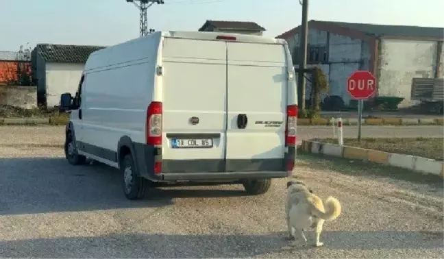 Balıkesir'de Köpeği Sürükleyen İki Şahıs Yakalandı