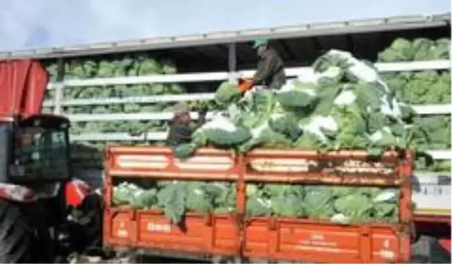 Kışlık sebze fiyatları üreticinin yüzünü güldürmedi