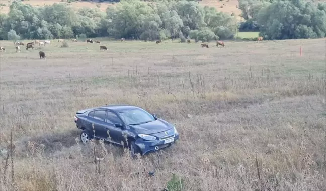 Erzincan'da Otomobil Çarpışması: 4'ü Çocuk 6 Kişi Yaralandı