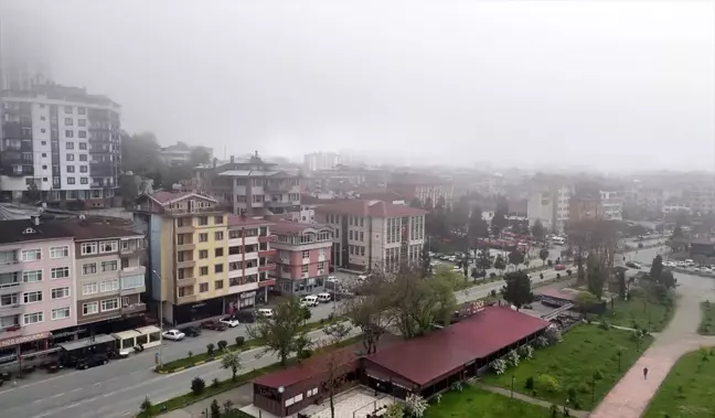 Artvin'de sis etkili oldu